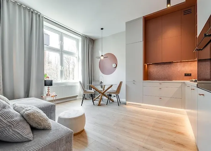 Apartmán Jan Iii Sobieski - Luksusowy S Prywatny Darmowy Parking *